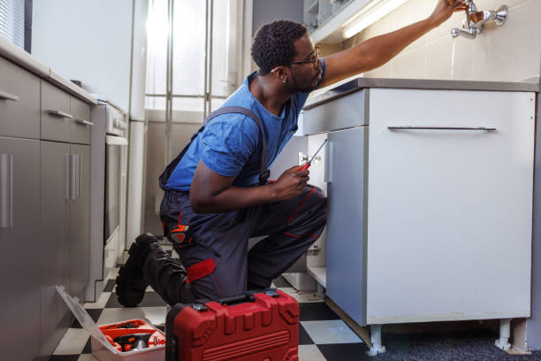 Best Same-Day Plumbing Service  in Vernon Hls, IL